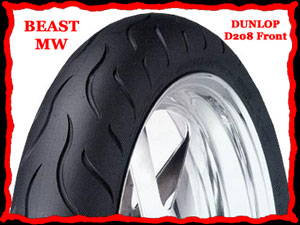 DUNLOP D208