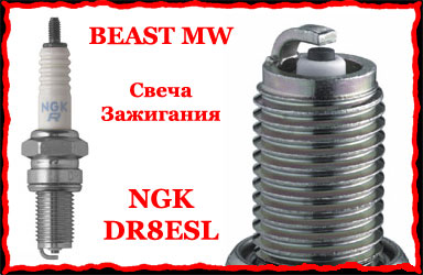 NGK DR8ESL